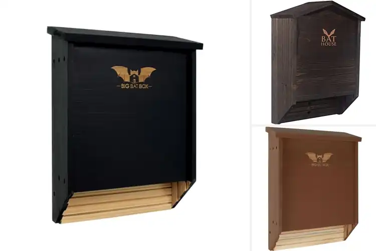 Detailed view of Best Bat Houses: Eco-Friendly Pest Control for Your Yard