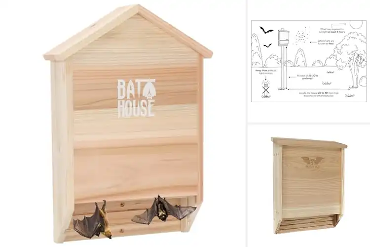 Detailed view of Best Cedar Wood Bat Houses
