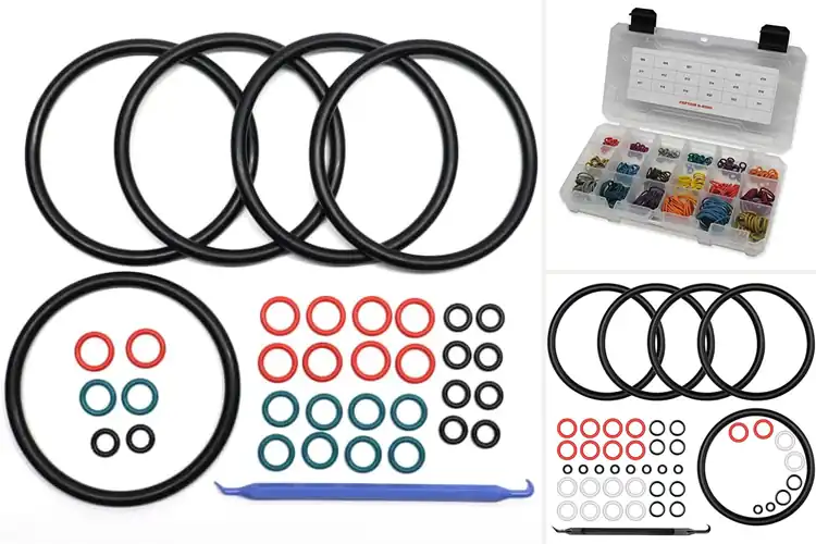 Detailed view of Best Color Coded O-Ring Sets