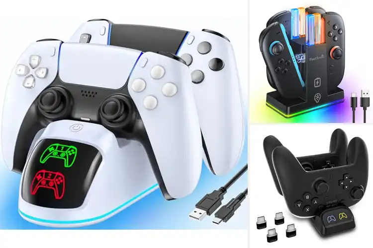 Detailed view of Best Dual Controller Chargers