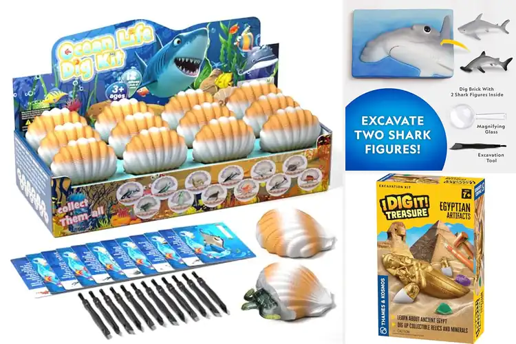 Detailed view of Best Excavation Kits: 7 Top Picks for Hands-On Learning Fun