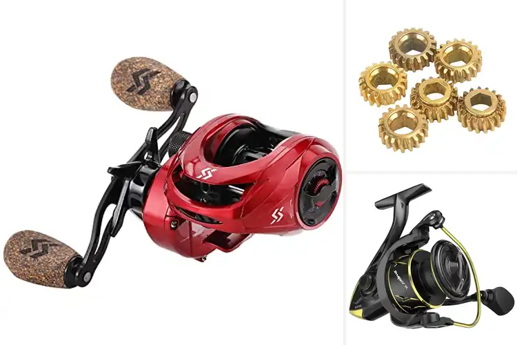 Detailed view of Best Gear Ratios: Boost Speed, Precision, and Efficiency Now