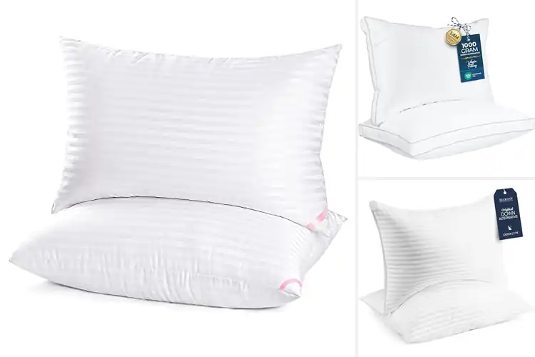 Detailed view of Best Guest Room Pillows