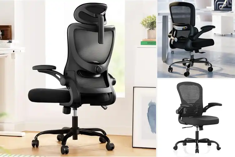 Detailed view of Best Lumbar Support Chairs for All-Day Comfort