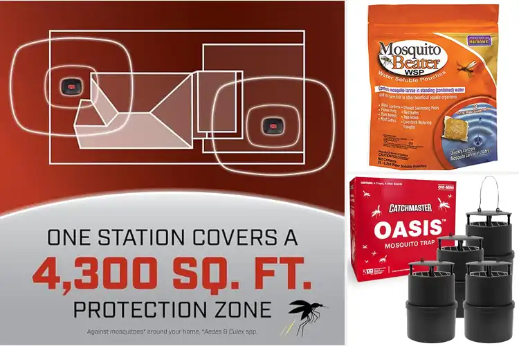 Detailed view of Best Mosquito Control Methods