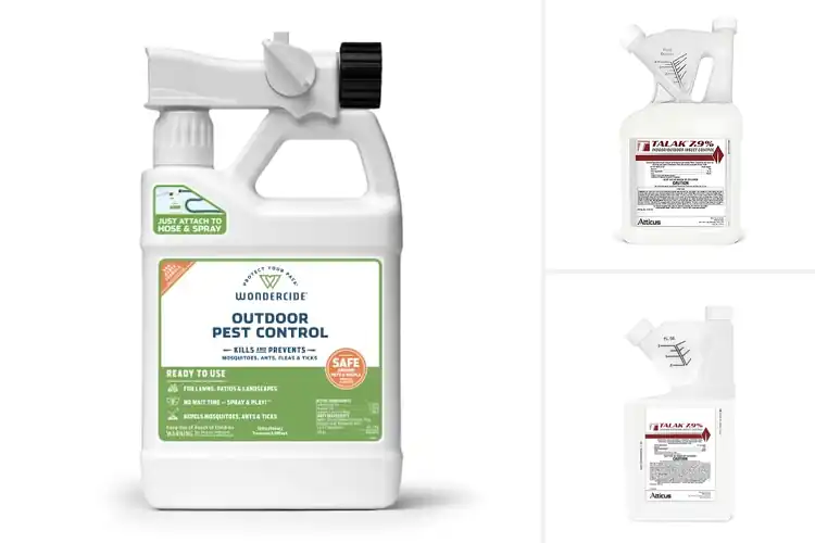 Detailed view of Best Outdoor Pest Control Solutions