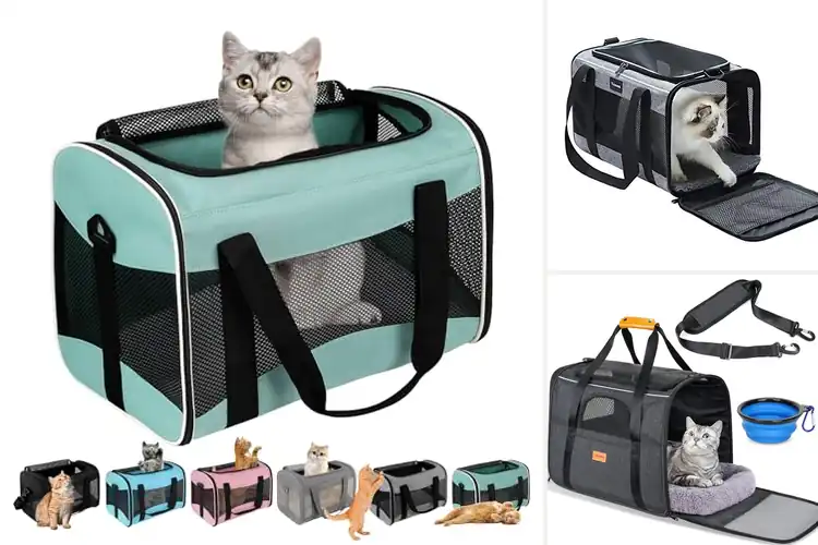Detailed view of Best Soft Cat Carriers