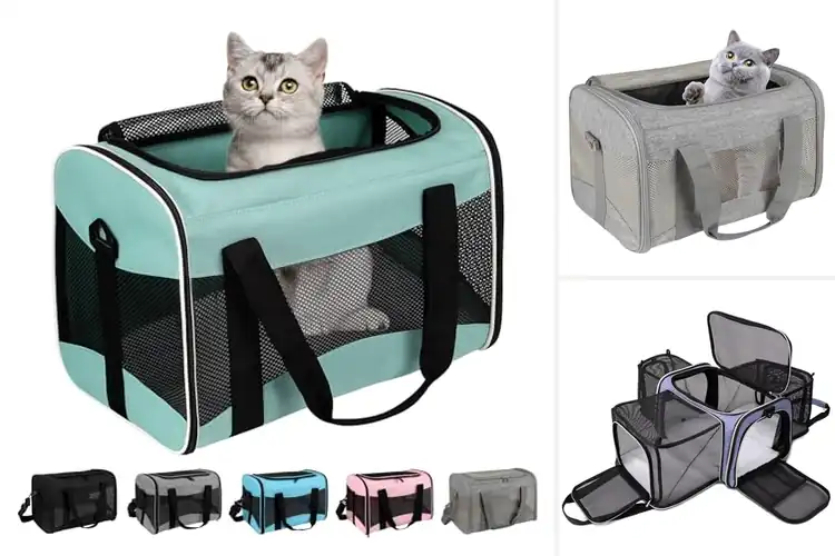 Detailed view of Best Value Open Carrier Case