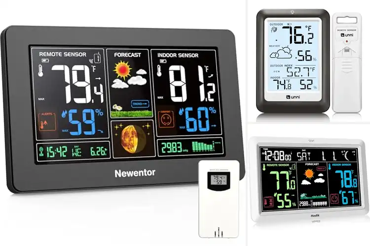 Detailed view of Best Weather Information: 10 Top Tools to Stay Prepared